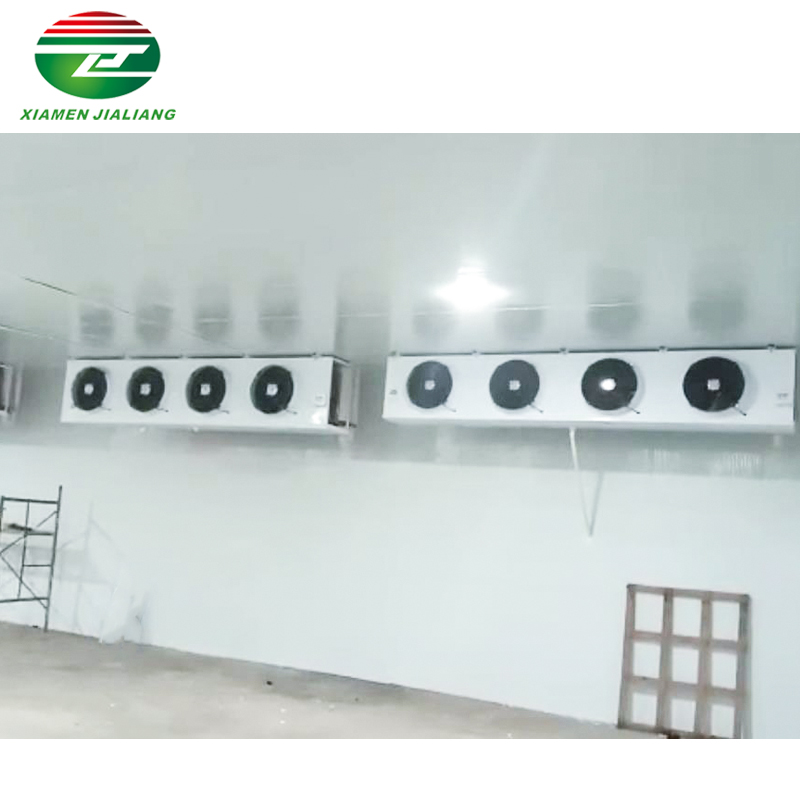 Easy To Install Frozen Fish Cold Room In Tanzania