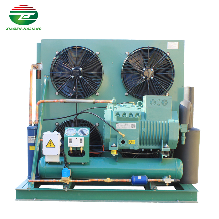  R404a 220V Cold Room Condensing Unit 