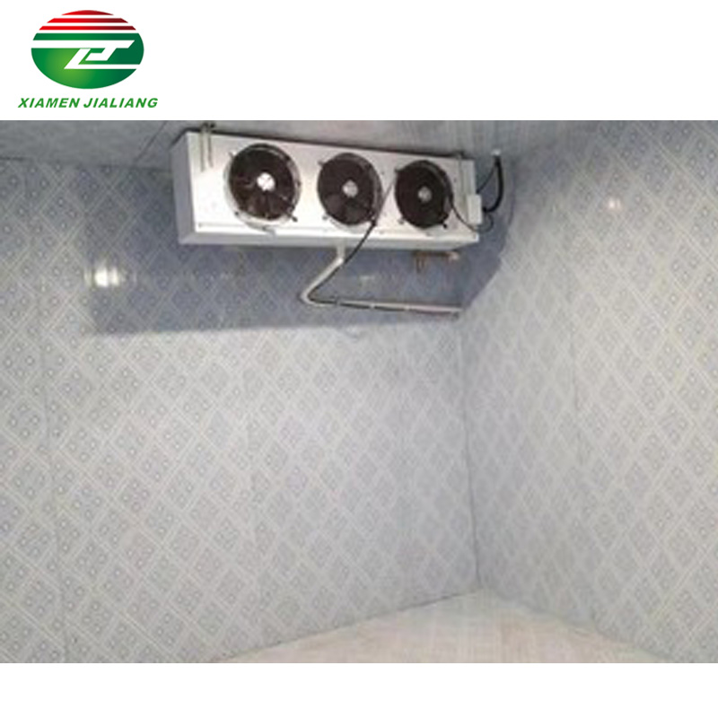 storage freezer cold room suppliers