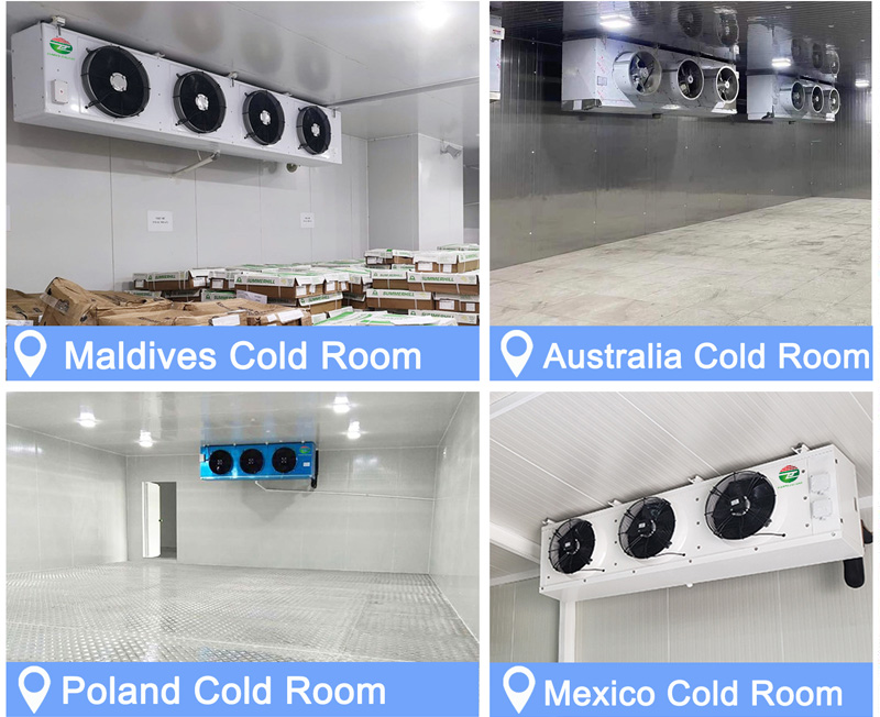 cold storage room design