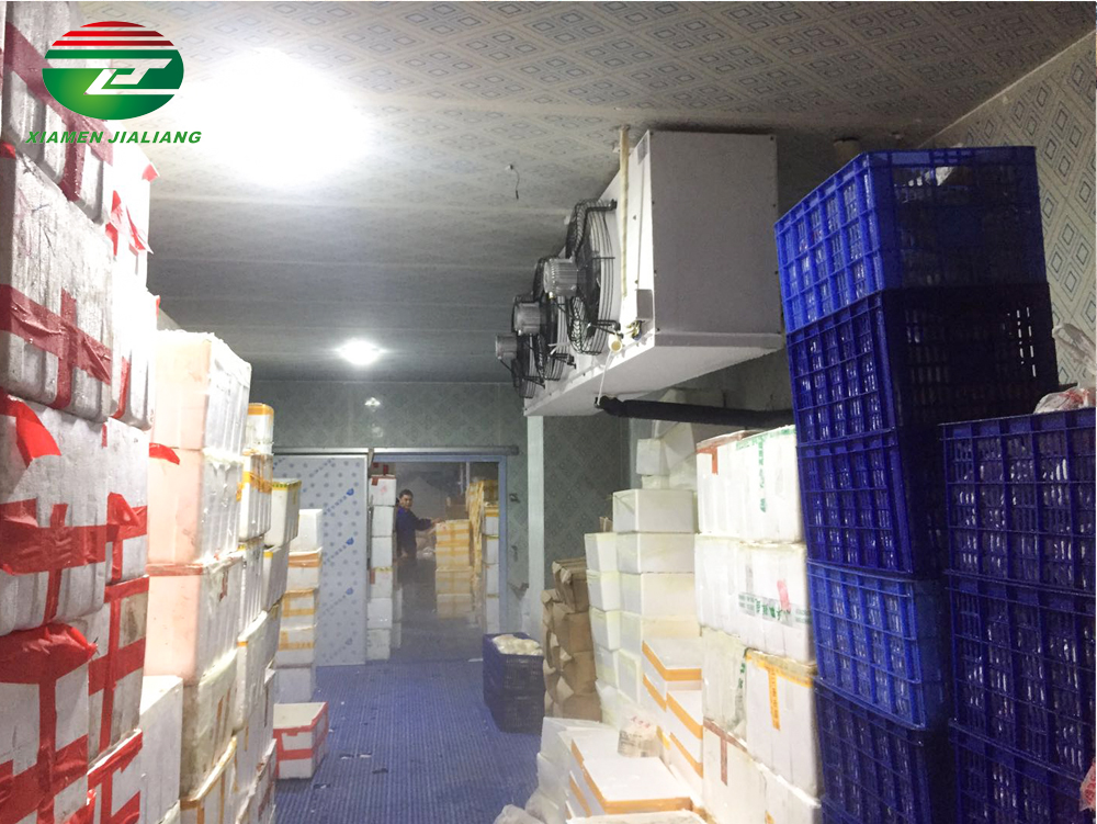 10 tons capacity cold storage room